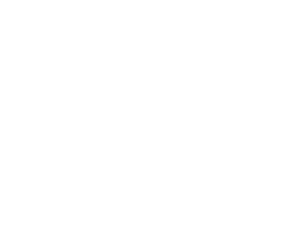 The Book Grocer