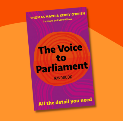 The Voice to Parliament Handbook: All the Detail You Need